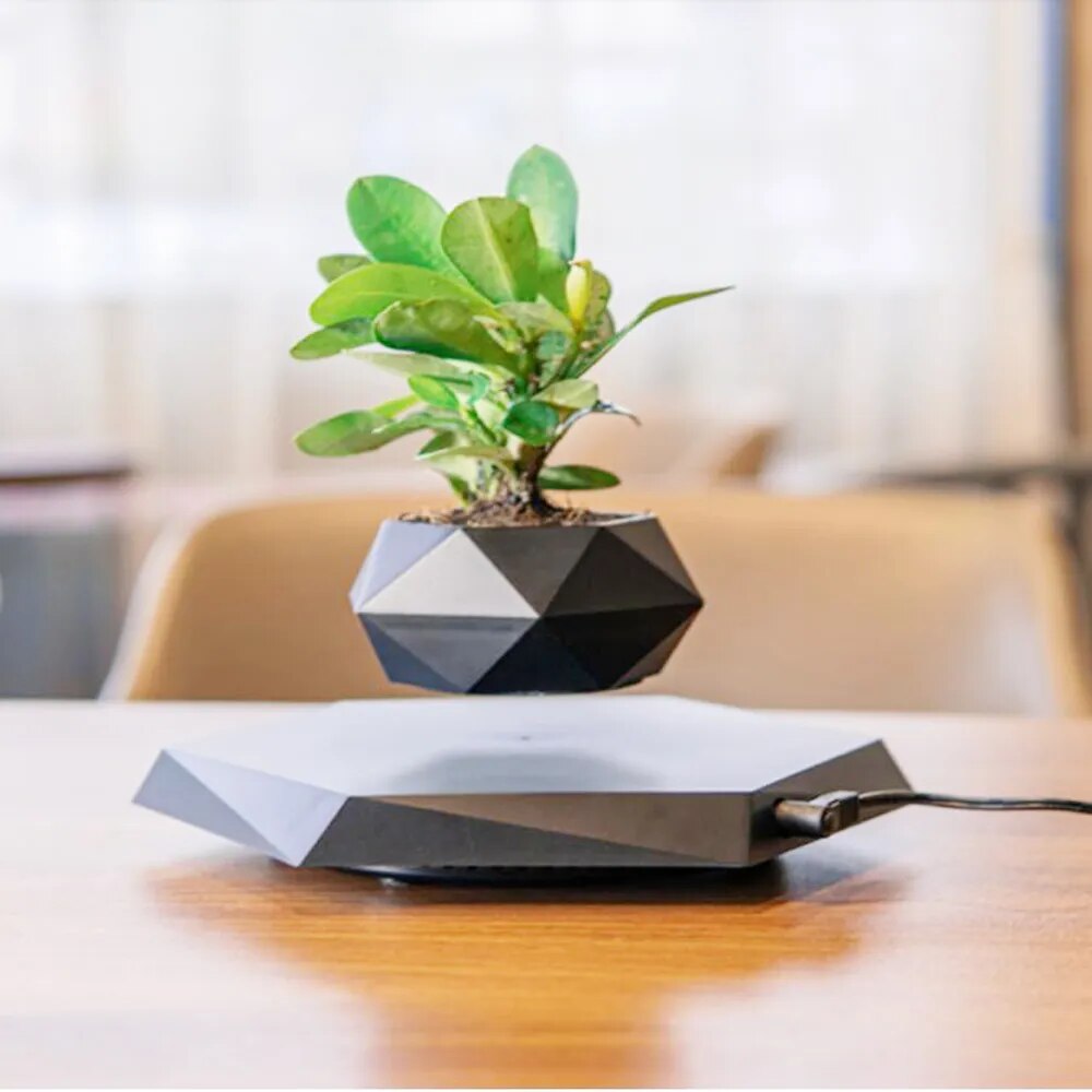 Levitating Air Bonsai - teenybuys