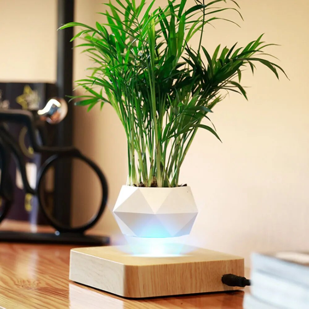 Levitating Air Bonsai - teenybuys