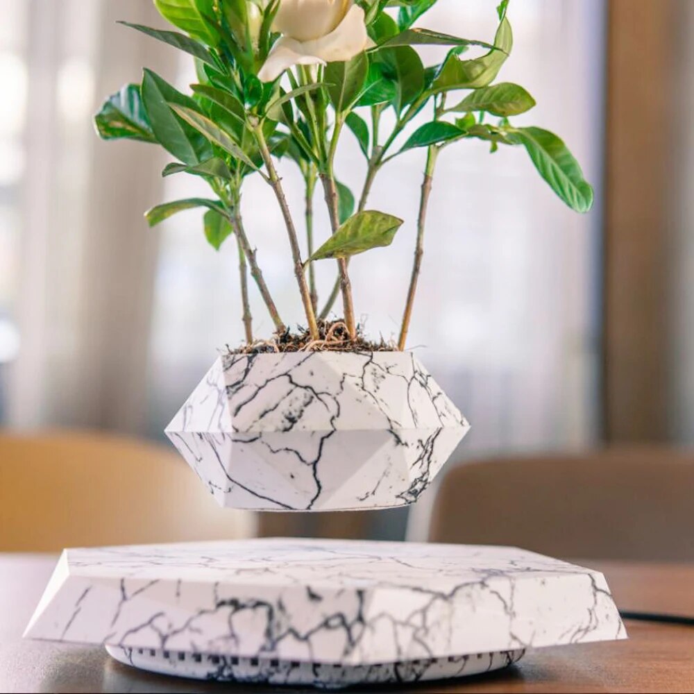 Levitating Air Bonsai - teenybuys