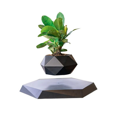 Levitating Air Bonsai - teenybuys