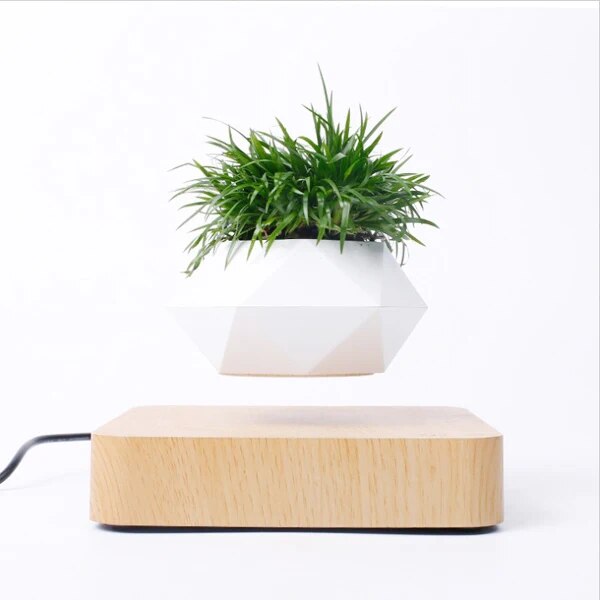 Levitating Air Bonsai - teenybuys