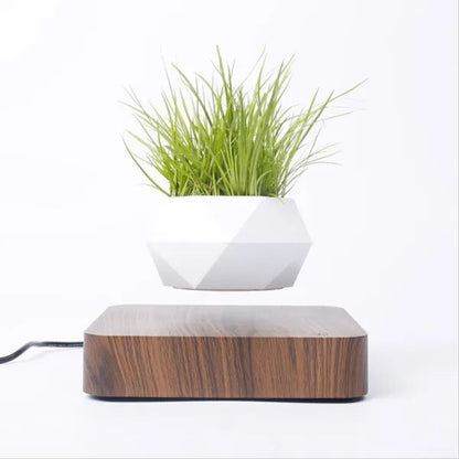 Levitating Air Bonsai - teenybuys