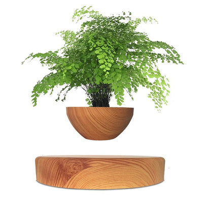 Levitating Air Bonsai - teenybuys